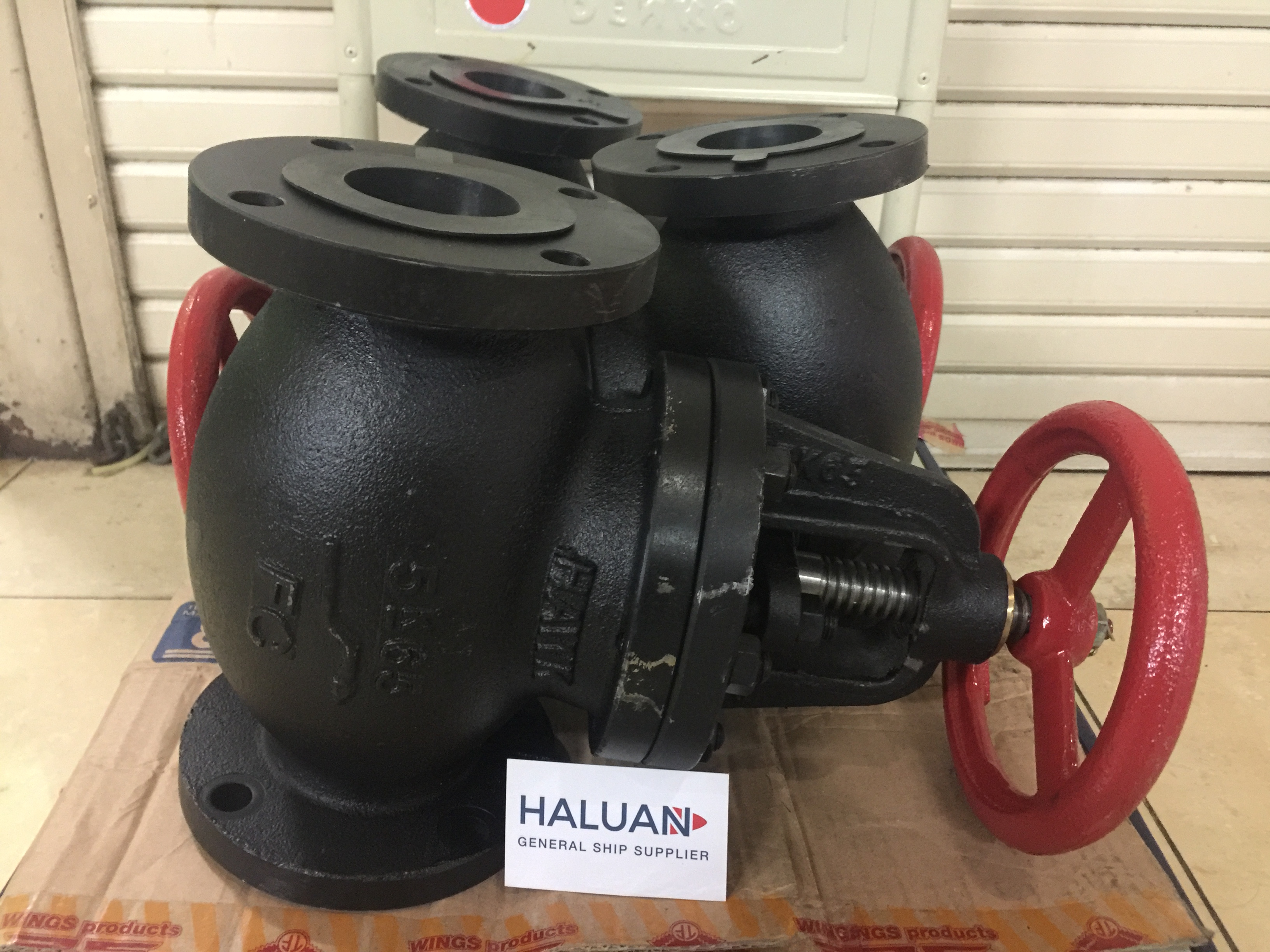 GLOBE VALVE 5K-65MM SDNR MATERIAL CAST IRON