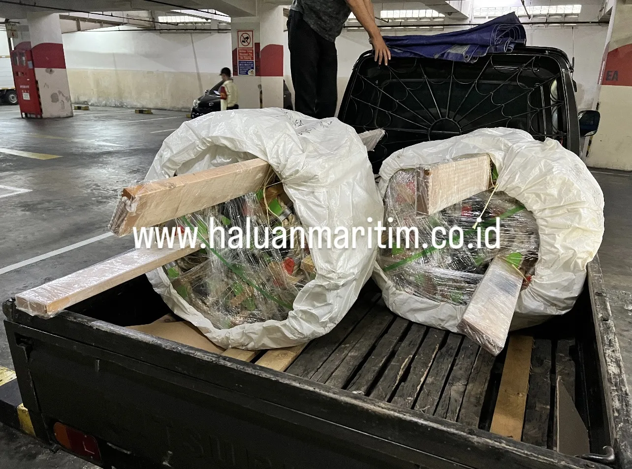 PILOT LADDER 7 METER C/W CCS CERTIFICATE