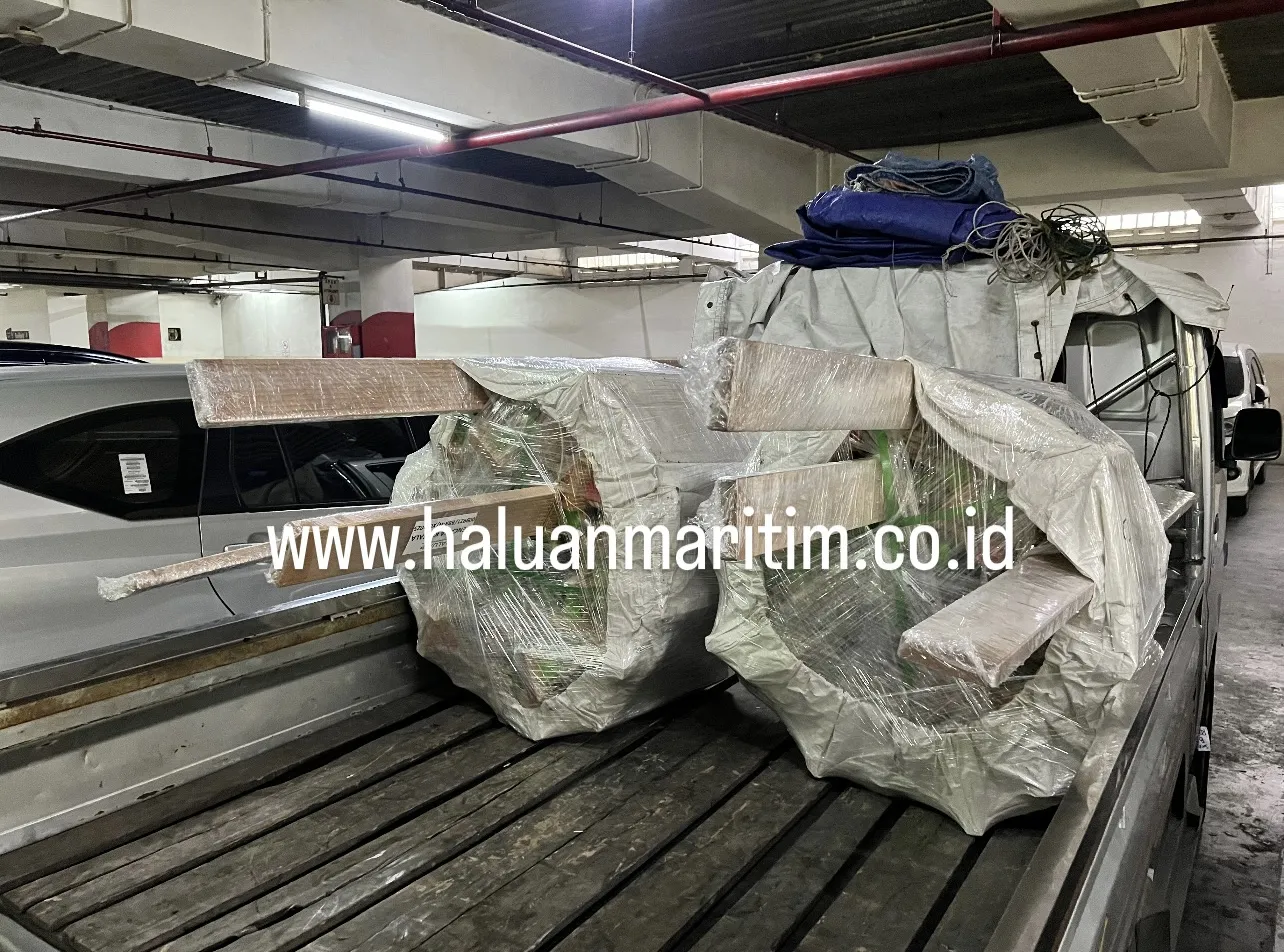 PILOT LADDER 9 METER C/W CCS CERTIFICATE