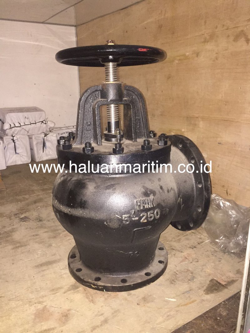 Angle Globe Valve Cast Iron 5K 250 (10