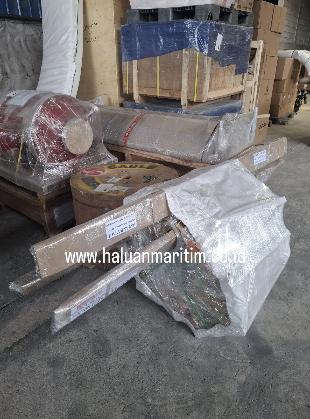 PILOT LADDER 9 METER C/W CCS CERTIFICATE