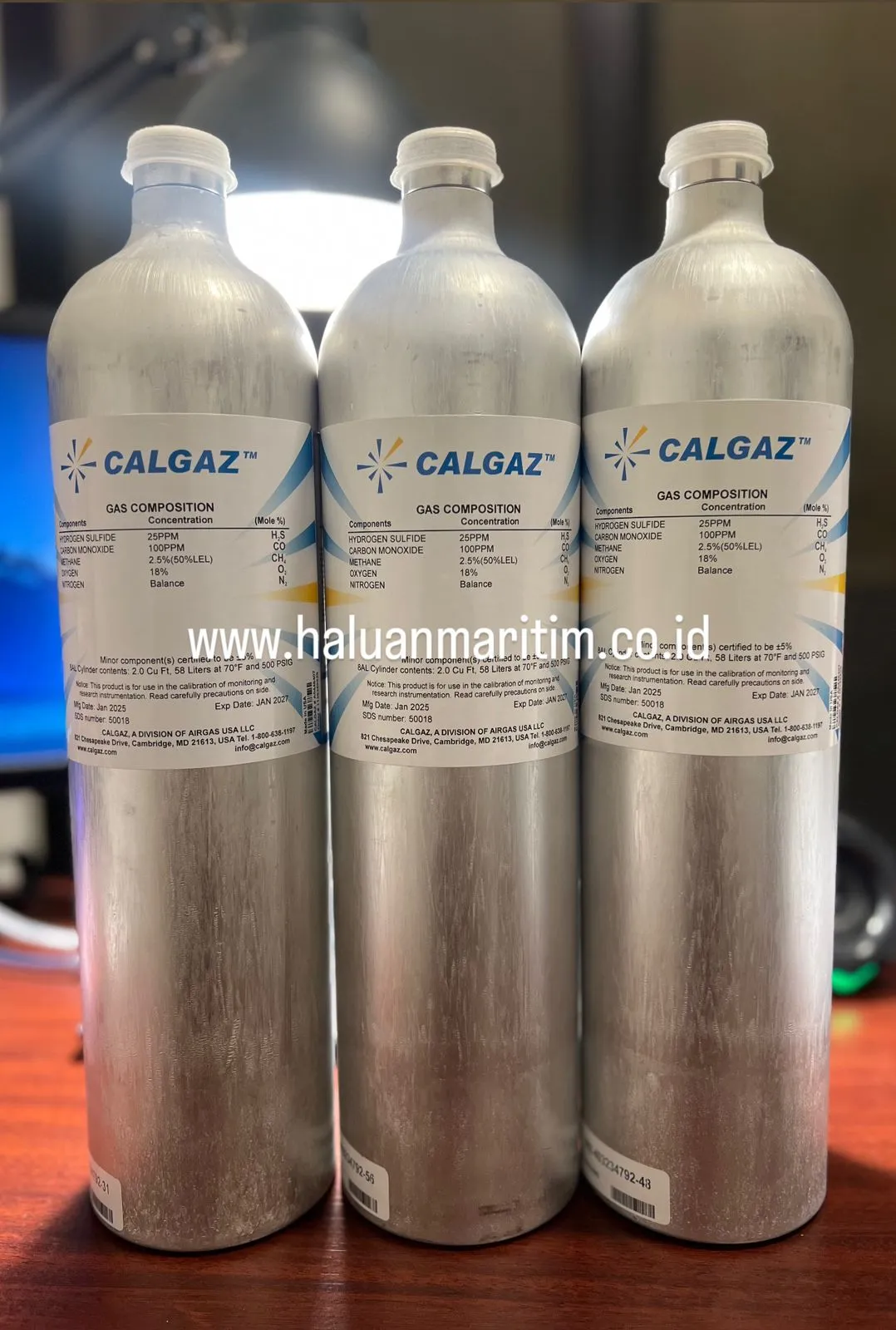 SPAN GAS CALGAZ FOR BW GAS DETECTOR